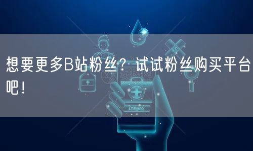 想要更多B站粉丝？试试粉丝购买平台吧！