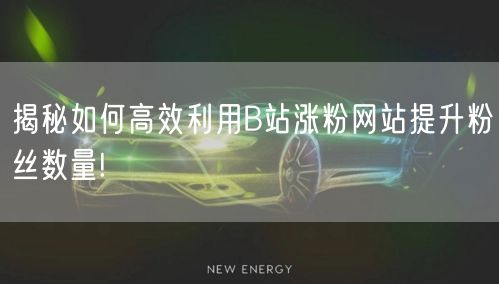 揭秘如何高效利用B站涨粉网站提升粉丝数量!