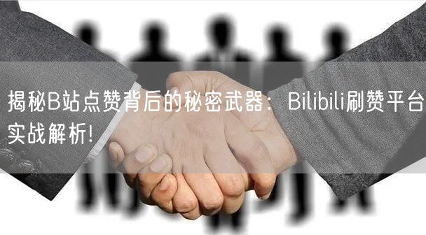 揭秘B站点赞背后的秘密武器：Bilibili刷赞平台实战解析!