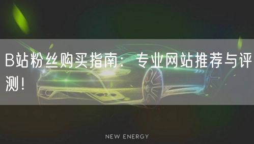 B站粉丝购买指南：专业网站推荐与评测！