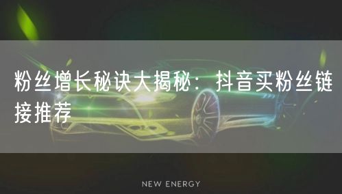 粉丝增长秘诀大揭秘：抖音买粉丝链接推荐