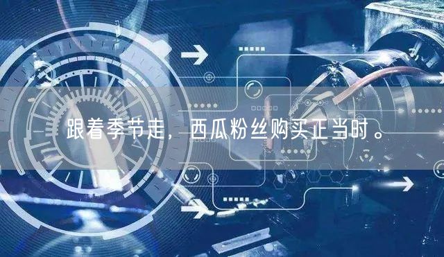 跟着季节走，西瓜粉丝购买正当时。