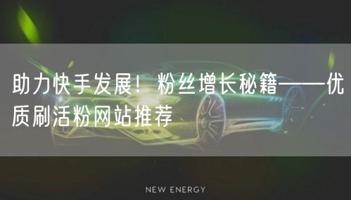 助力快手发展！粉丝增长秘籍——优质刷活粉网站推荐