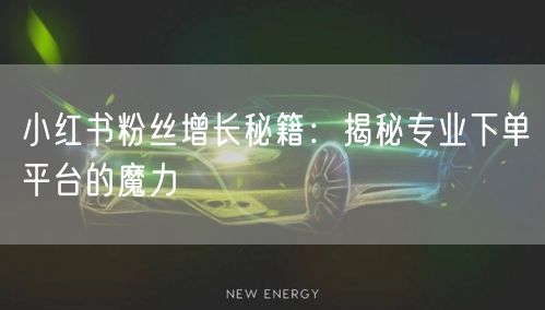 小红书粉丝增长秘籍：揭秘专业下单平台的魔力