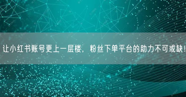 让小红书账号更上一层楼，粉丝下单平台的助力不可或缺！
