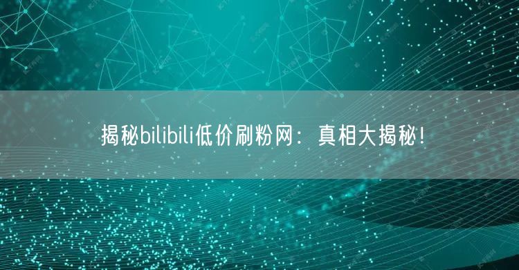 揭秘bilibili低价刷粉网：真相大揭秘！