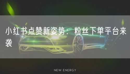 小红书点赞新姿势：粉丝下单平台来袭