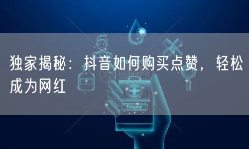 独家揭秘：抖音如何购买点赞，轻松成为网红
