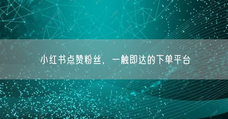 小红书点赞粉丝，一触即达的下单平台