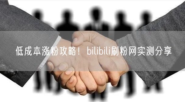 低成本涨粉攻略！bilibili刷粉网实测分享