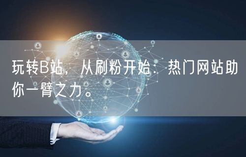 玩转B站，从刷粉开始：热门网站助你一臂之力。