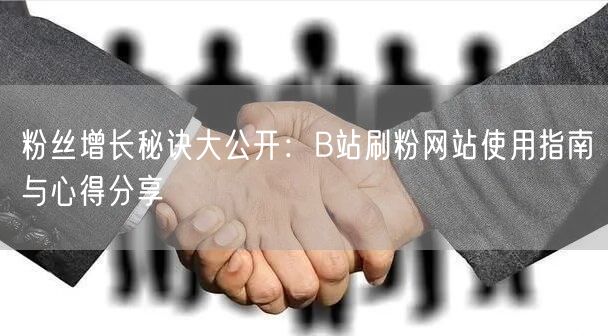 粉丝增长秘诀大公开：B站刷粉网站使用指南与心得分享