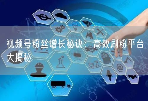 视频号粉丝增长秘诀：高效刷粉平台大揭秘