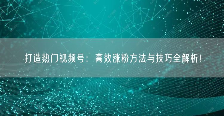 打造热门视频号：高效涨粉方法与技巧全解析！