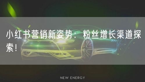 小红书营销新姿势：粉丝增长渠道探索！