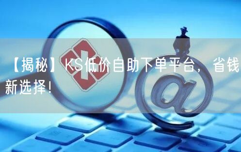 【揭秘】KS低价自助下单平台，省钱新选择！