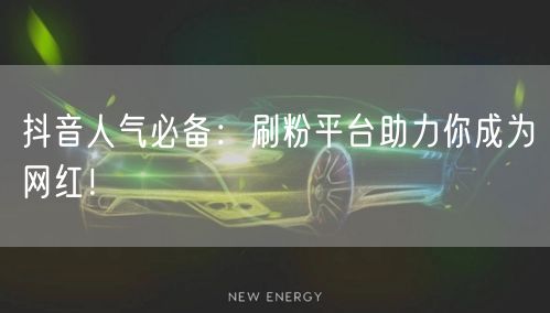 抖音人气必备：刷粉平台助力你成为网红！