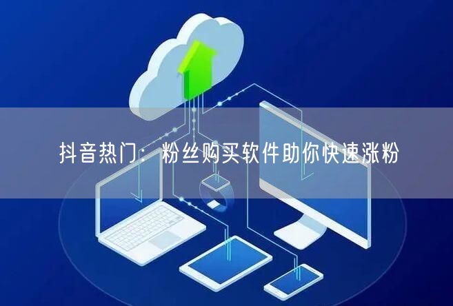 抖音热门：粉丝购买软件助你快速涨粉