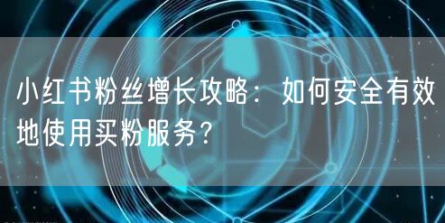 小红书粉丝增长攻略：如何安全有效地使用买粉服务？