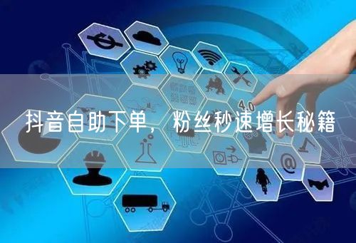 抖音自助下单，粉丝秒速增长秘籍
