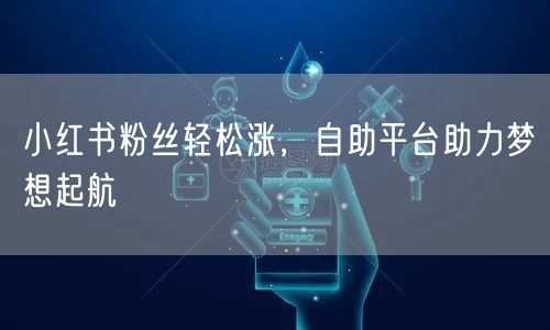 小红书粉丝轻松涨，自助平台助力梦想起航