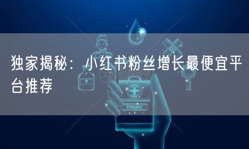 独家揭秘：小红书粉丝增长最便宜平台推荐