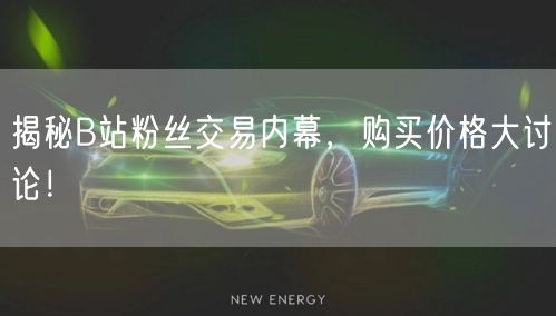 揭秘B站粉丝交易内幕，购买价格大讨论！