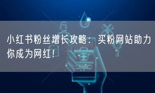 小红书粉丝增长攻略：买粉网站助力你成为网红！