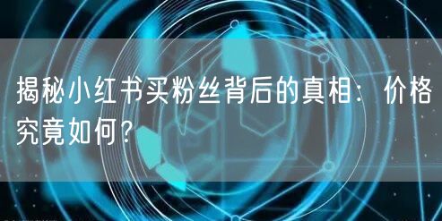 揭秘小红书买粉丝背后的真相：价格究竟如何？