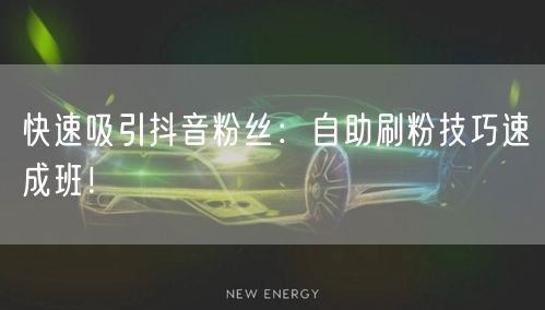 快速吸引抖音粉丝：自助刷粉技巧速成班！