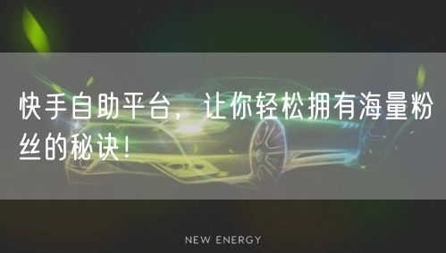 快手自助平台，让你轻松拥有海量粉丝的秘诀！