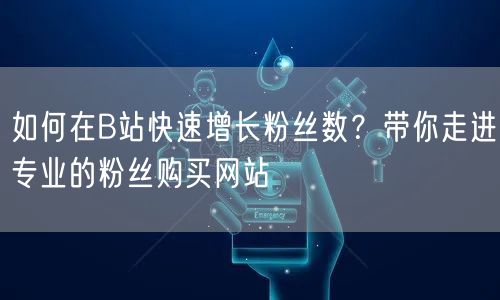 如何在B站快速增长粉丝数？带你走进专业的粉丝购买网站
