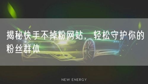 揭秘快手不掉粉网站，轻松守护你的粉丝群体