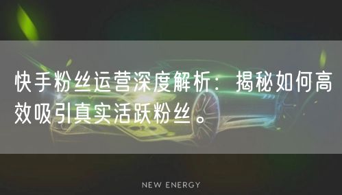 快手粉丝运营深度解析：揭秘如何高效吸引真实活跃粉丝。