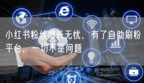 小红书粉丝增长无忧，有了自助刷粉平台，一切不是问题