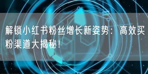 解锁小红书粉丝增长新姿势：高效买粉渠道大揭秘！